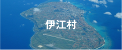 伊江村